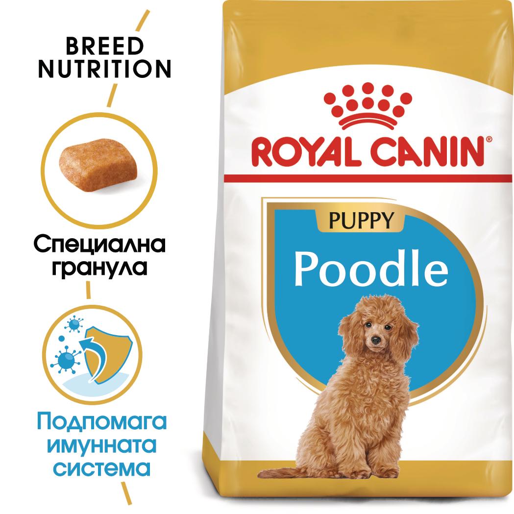 hrana-za-kuche-royal-canin-poodle-junior