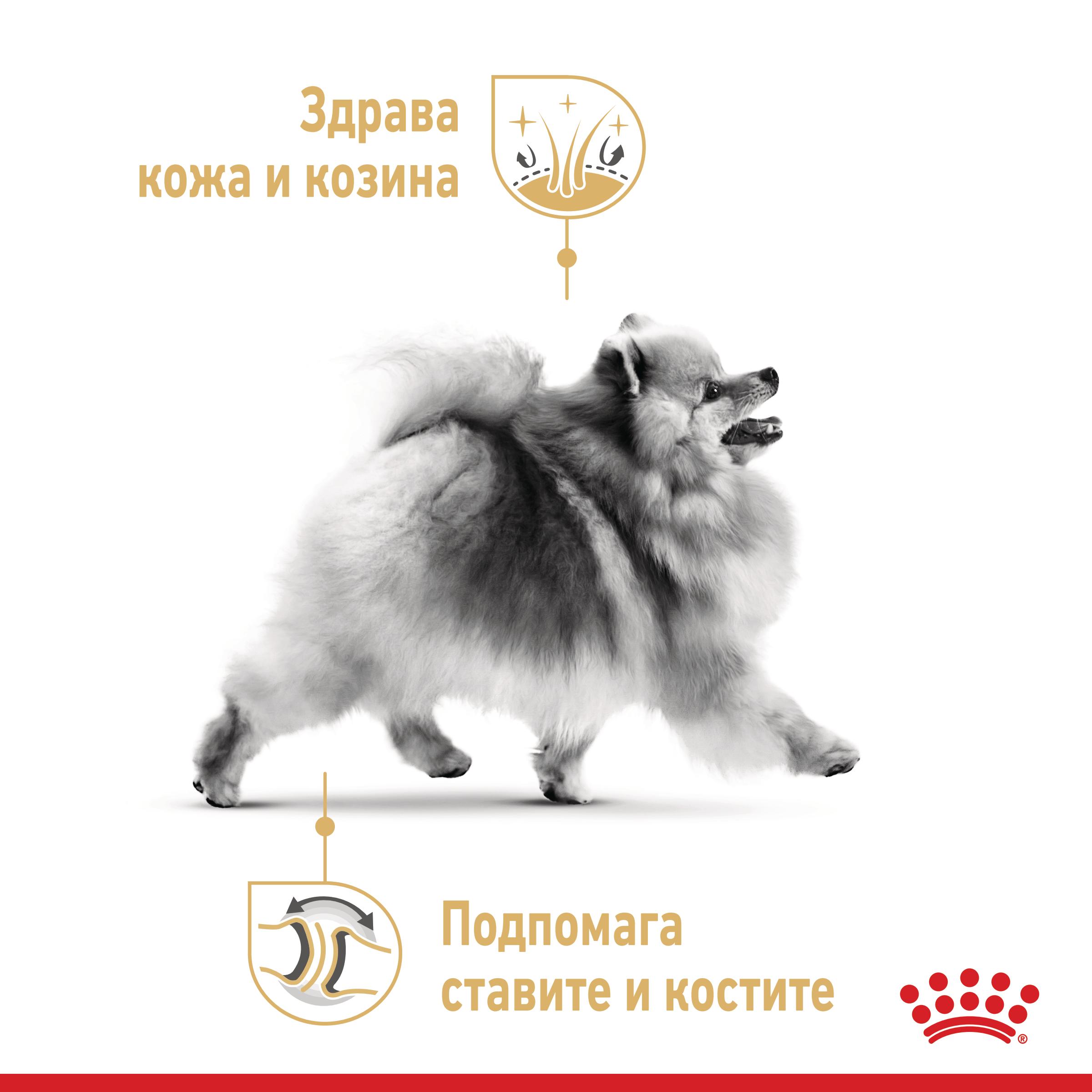 ROYAL CANIN® BHN POMERANIAN ADULT 1.5кг - Image 5