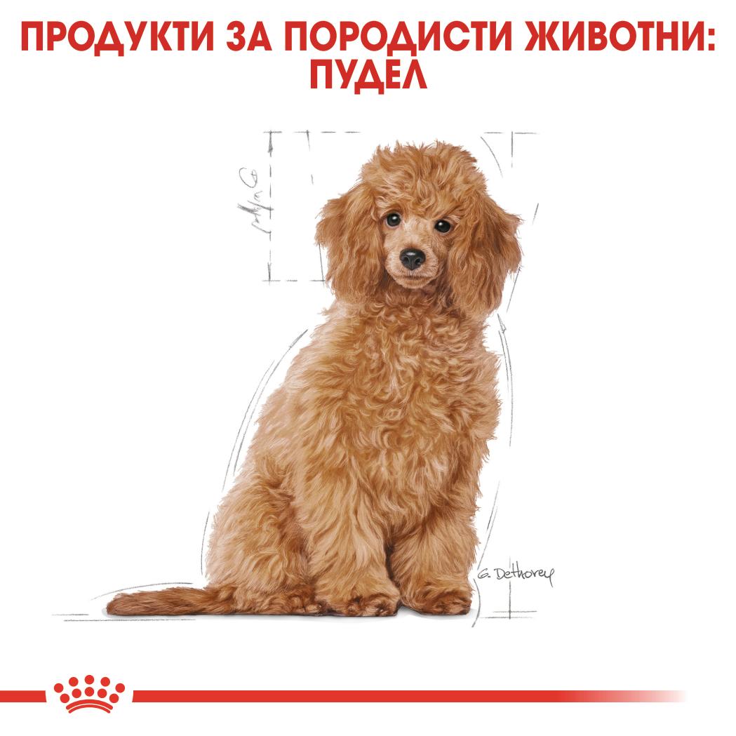 ROYAL CANIN® BHN POODLE PUPPY 3кг - Image 4