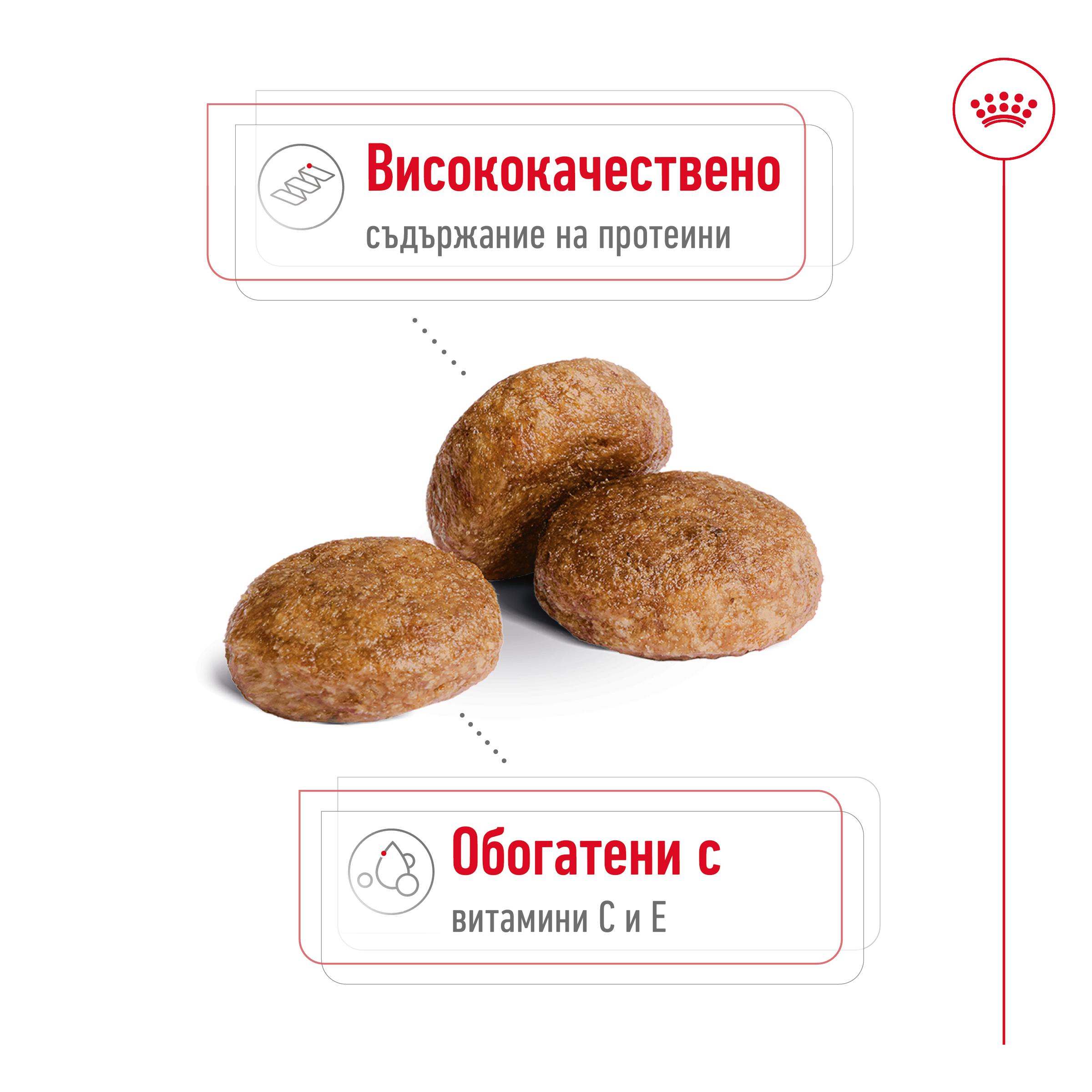 ROYAL CANIN® SHN MEDIUM ADULT 7+ 15кг - Image 6