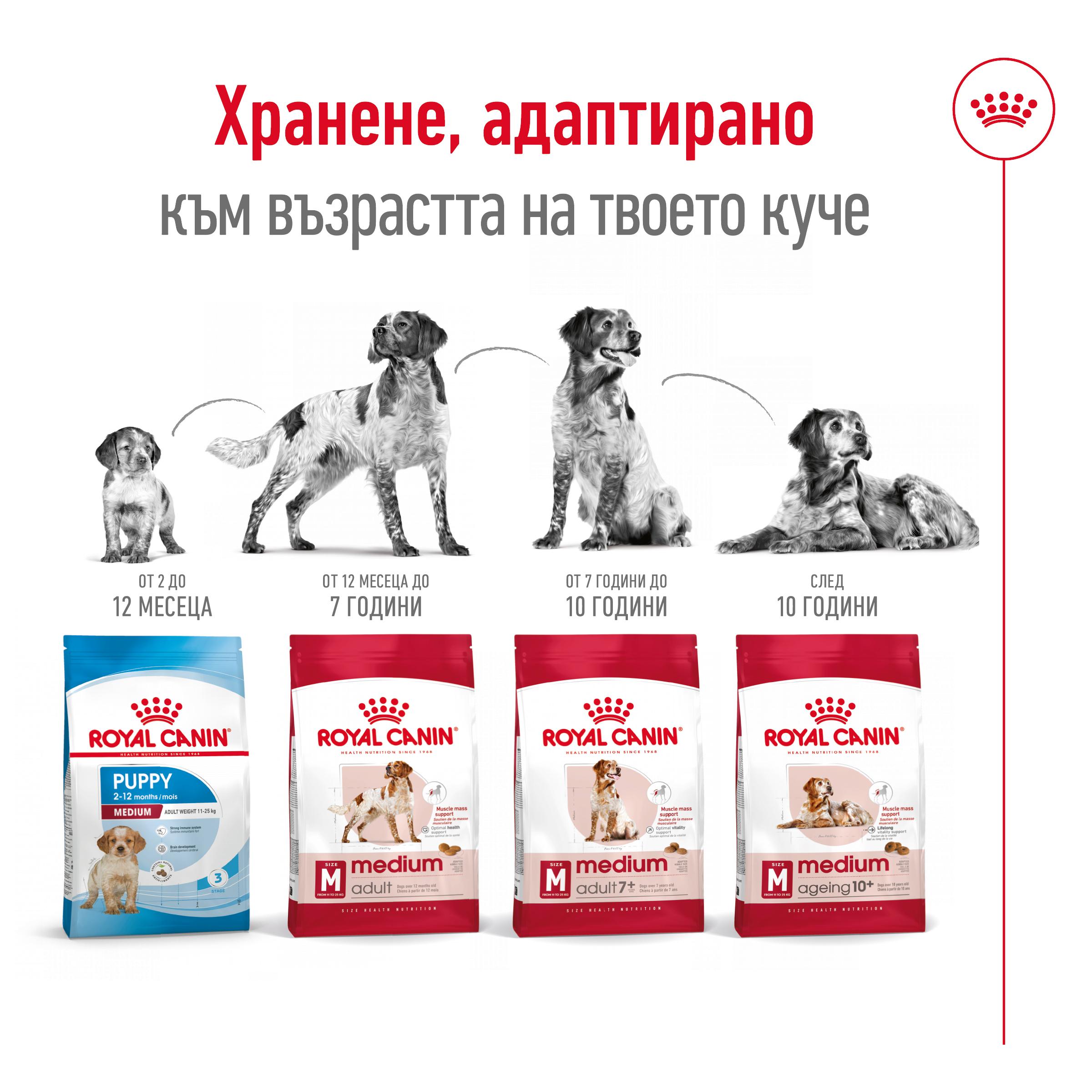 ROYAL CANIN® SHN MEDIUM ADULT 7+ 15кг - Image 4